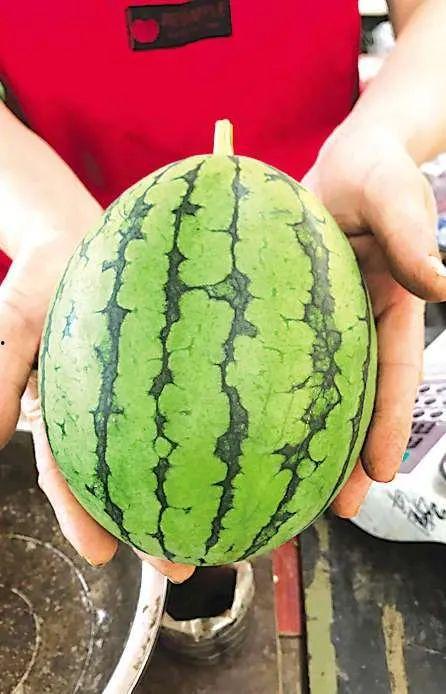 青岛最新吃瓜事件,揭秘背后真相与争议焦点